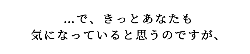 …で、きっとあなたも気になっていると思うのですが、